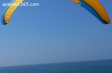 Niviuk Artik 5 Gr. 26 m² Gold